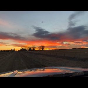 Meet your Posher, Carlee